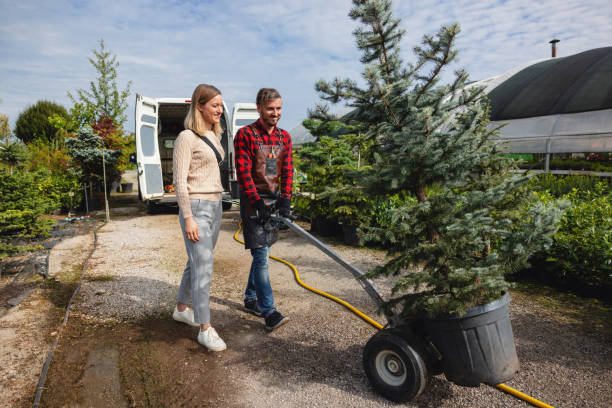 Best Tree Stump Removal  in Pioneer Village, KY